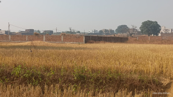 Residential Plot for Sale in Kanke, Ranchi
