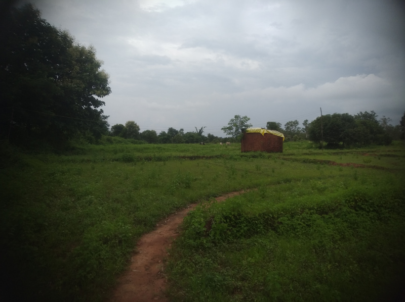 2 BHK Farm House 5 Acre for Sale in Chandia, Umaria