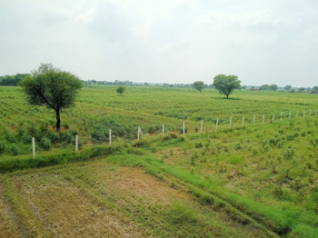  Agricultural Land for Sale in Delhi Bypass Road, Alwar
