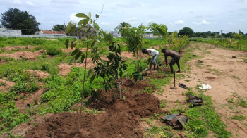  Residential Plot for Sale in Shadnagar, Hyderabad