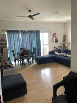 3 BHK Flat for Sale in Hinjewadi Phase 3, Pune