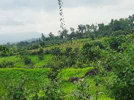  Agricultural Land for Sale in Vadgaon Maval, Pune