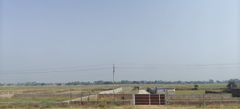  Residential Plot for Sale in Kanhauli, Bihta, Patna