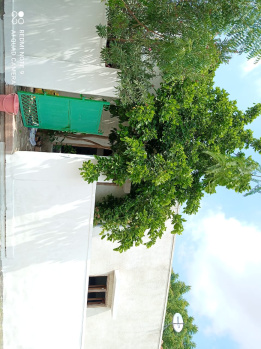 4 BHK House for Sale in Balotra, Barmer