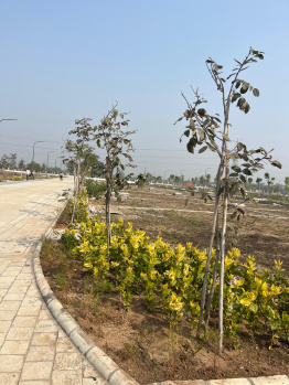  Residential Plot for Sale in Samruddhi Nagpur, 