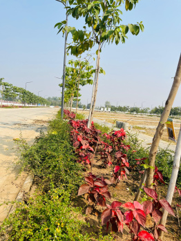  Residential Plot for Sale in Samruddhi Nagpur, 