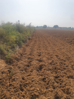  Agricultural Land for Sale in Kanina, Mahendragarh
