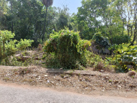 Residential Plot for Sale in Sreekrishnapuram, Palakkad