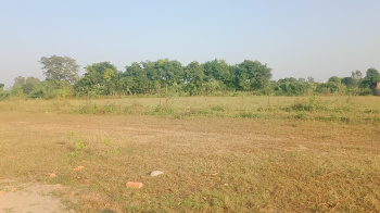  Residential Plot for Sale in Selakui, Dehradun