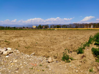  Residential Plot for Sale in Doiwala, Dehradun