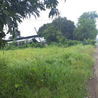  Commercial Land for Sale in Samroli, Chikhli, Navsari