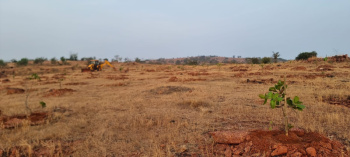  Agricultural Land for Sale in Chikhli, Navsari