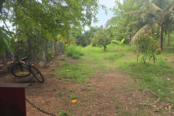  Agricultural Land for Sale in Bordi, Palghar
