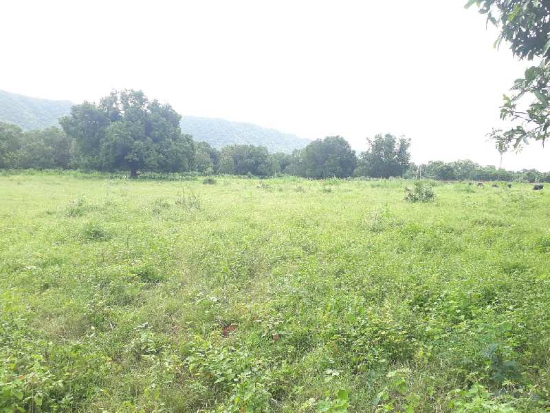  Agricultural Land 3 Acre for Sale in Vijayanagar, Vijayawada