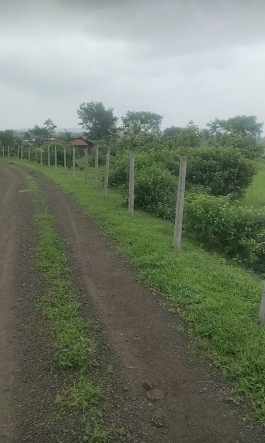  5 Acre Residential Plot for Sale in Bilkisganj, Sehore