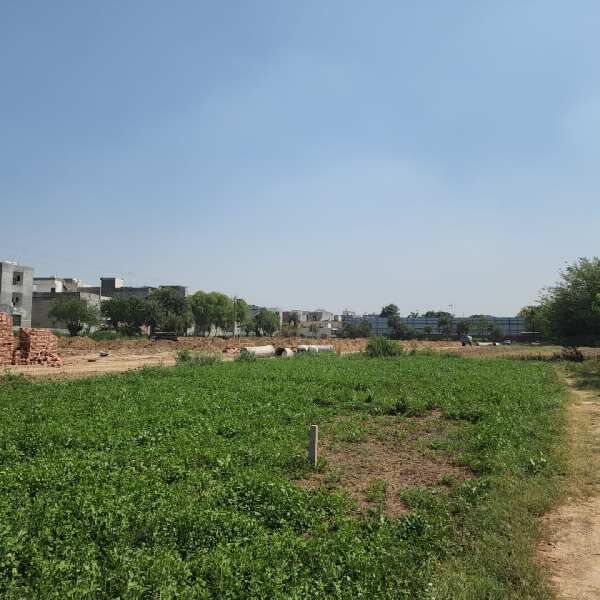  Commercial Land 100 Sq. Yards for Sale in Chandigarh-Ludhiana Highway, Mohali
