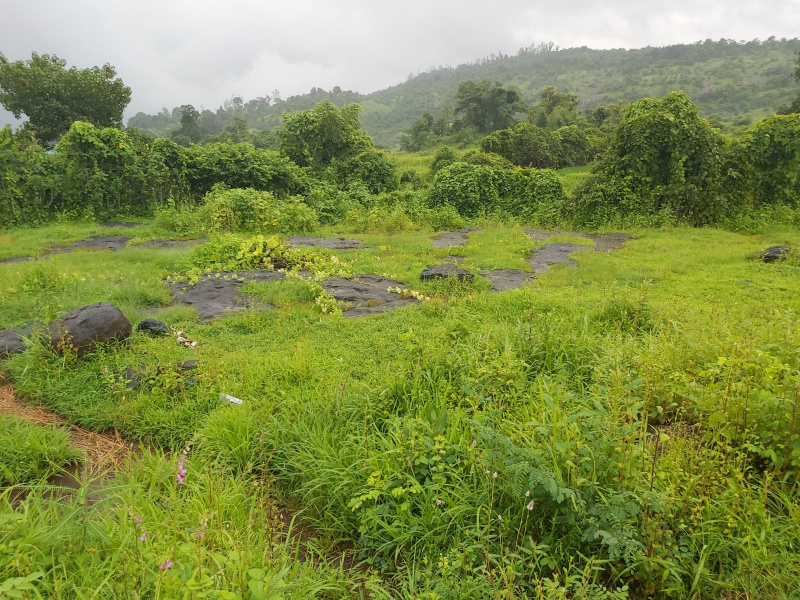  Residential Plot 4 Acre for Sale in Sudhagad, Raigad