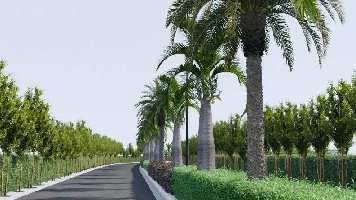  Agricultural Land for Sale in 100 Feet Road, Bhilwara