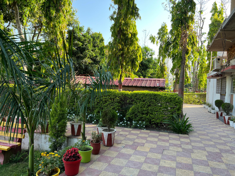  Residential Plot 100 Sq. Yards for Sale in Biharigarh, Saharanpur