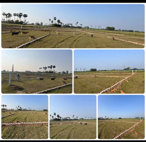  Residential Plot 100 Sq. Yards for Sale in Biharigarh, Saharanpur