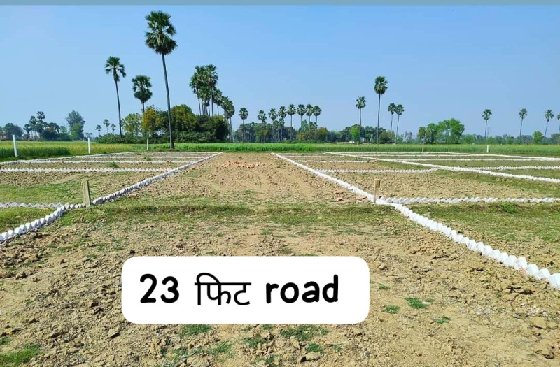  Residential Plot 3100 Sq.ft. for Sale in Bikram, Patna