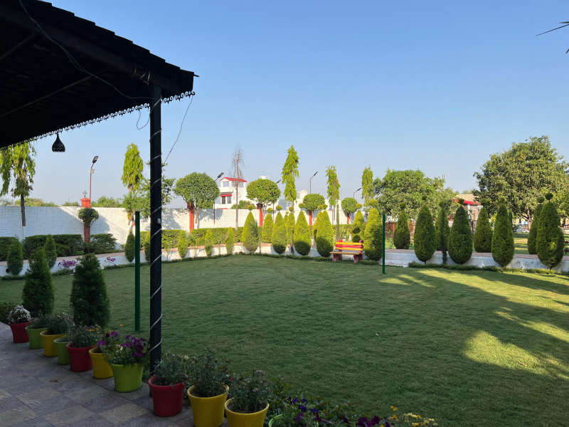  Residential Plot 1000 Sq. Yards for Sale in Behat, Saharanpur