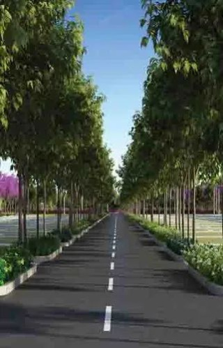  Residential Plot 1000 Sq.ft. for Sale in Naubatpur, Patna