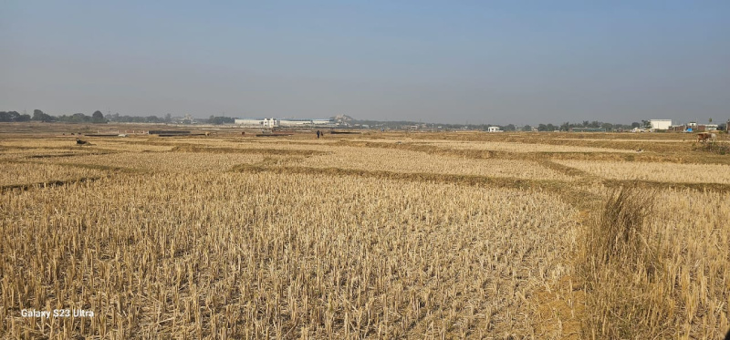  Residential Plot 1000 Sq.ft. for Sale in Pithoria Chowk, Ranchi