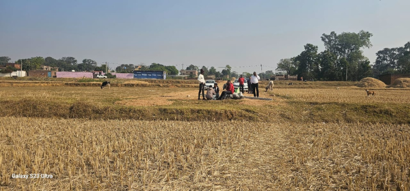  Residential Plot 1000 Sq.ft. for Sale in Pithoria Chowk, Ranchi