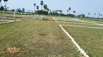  Residential Plot for Sale in Bikram, Patna