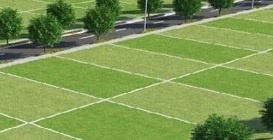 Residential Plot for Sale in Sunny Enclave, Mohali