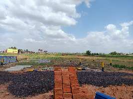  Commercial Land for Sale in Danapur, Patna