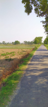  Agricultural Land for Sale in Jewar, Gautam Buddha Nagar