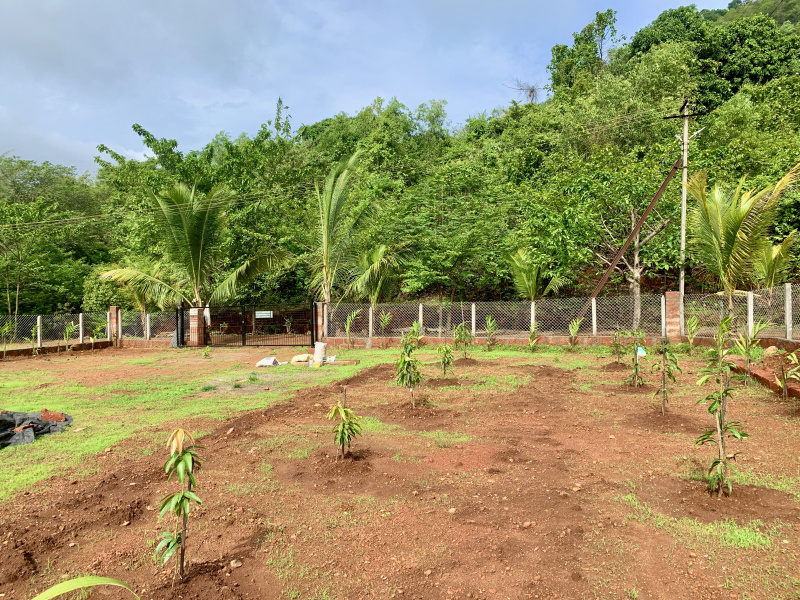  Residential Plot 4500 Sq.ft. for Sale in Shrivardhan, Raigad