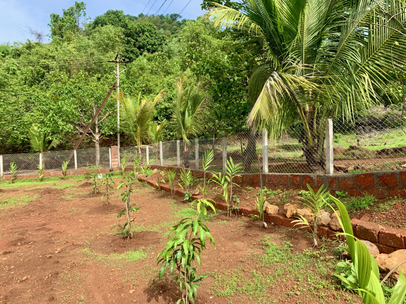  Residential Plot 4500 Sq.ft. for Sale in Shrivardhan, Raigad