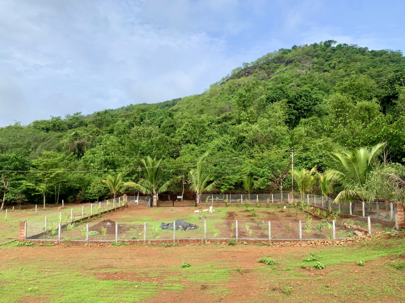  Residential Plot 4500 Sq.ft. for Sale in Shrivardhan, Raigad