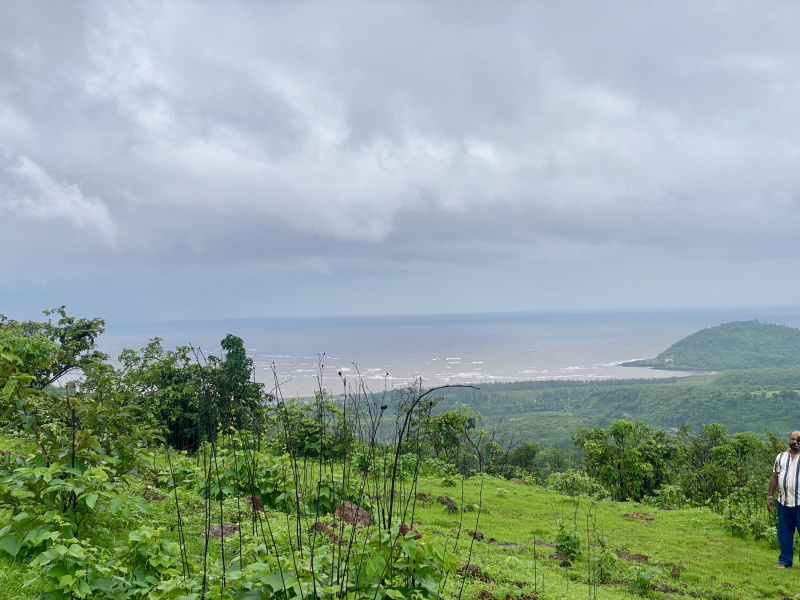  Agricultural Land 3 Ares for Sale in Harihareshwar, Raigad