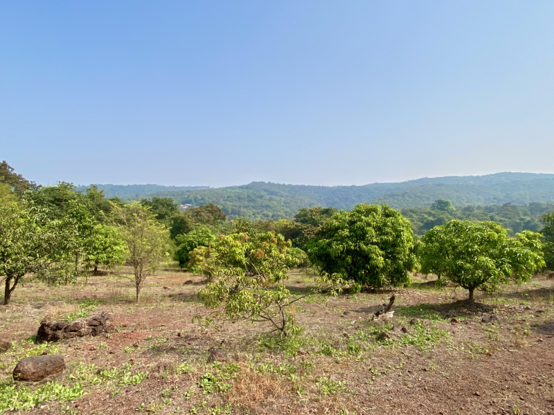  Residential Plot 40000 Sq.ft. for Sale in Roha, Raigad