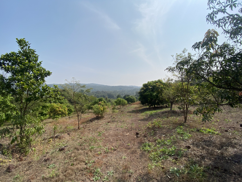  Residential Plot 40000 Sq.ft. for Sale in Roha, Raigad