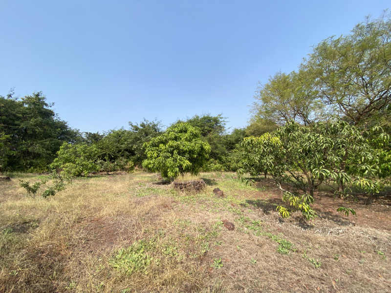  Residential Plot 40000 Sq.ft. for Sale in Roha, Raigad