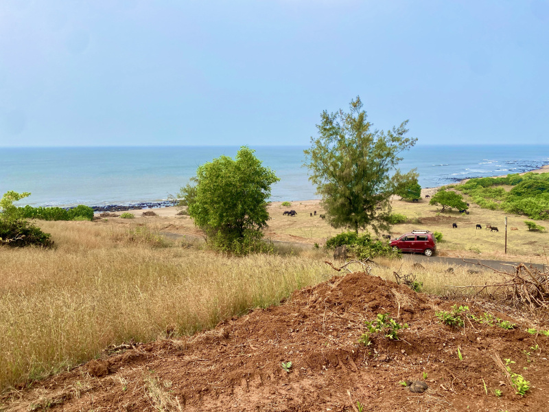  Residential Plot 5000 Sq.ft. for Sale in Dighode, Raigad