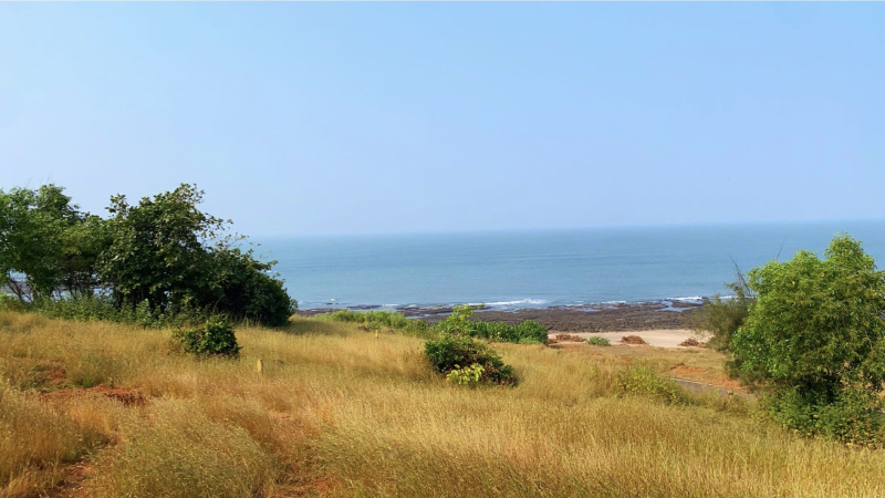  Residential Plot 5000 Sq.ft. for Sale in Dighode, Raigad