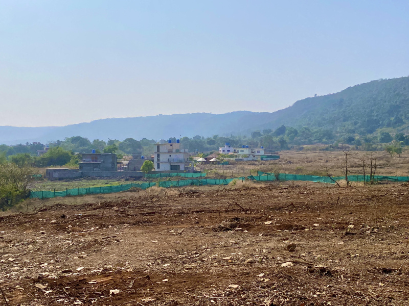  Residential Plot 5000 Sq.ft. for Sale in Kashid, Raigad