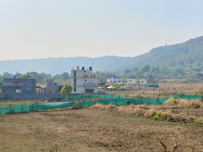  Residential Plot 5000 Sq.ft. for Sale in Kashid, Raigad