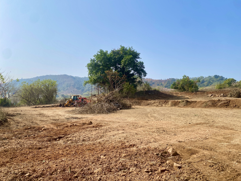  Residential Plot 5000 Sq.ft. for Sale in Kashid, Raigad