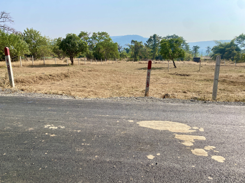  Residential Plot 5000 Sq.ft. for Sale in Kashid, Raigad