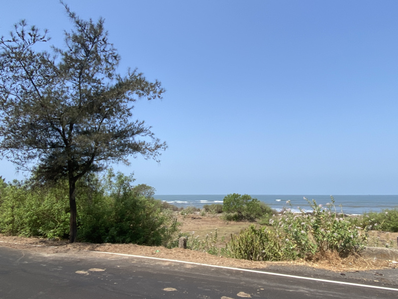  Residential Plot 10000 Sq.ft. for Sale in Shrivardhan, Raigad