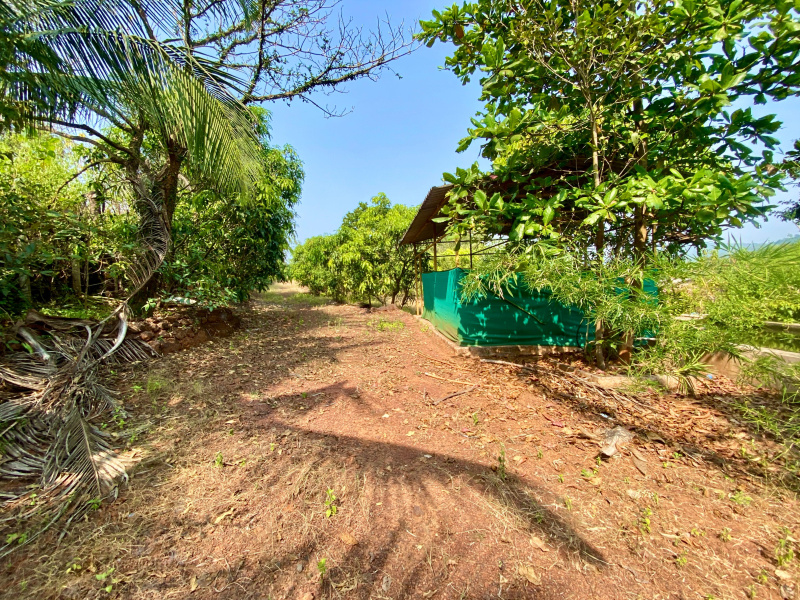  Residential Plot 20000 Sq.ft. for Sale in Roha, Raigad