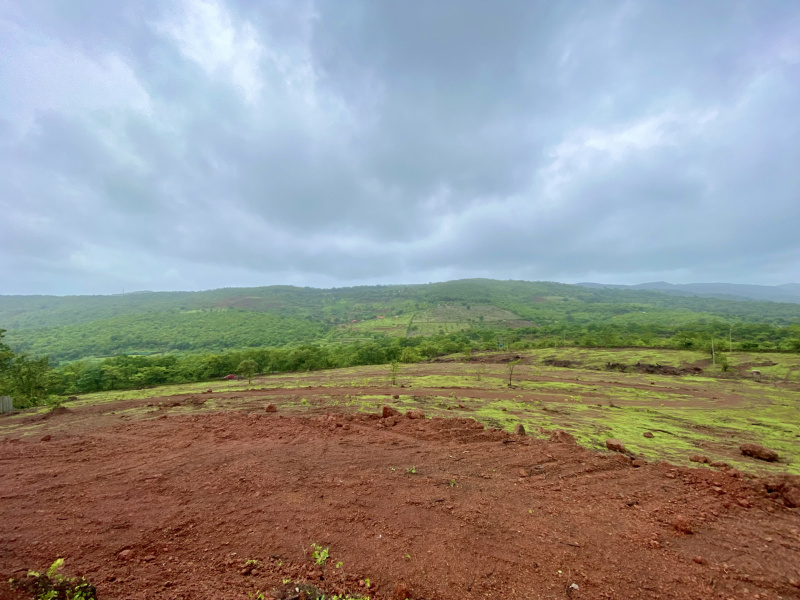  20000 Sq.ft. Residential Plot for Sale in Roha, Raigad