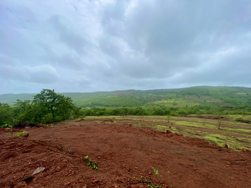  20000 Sq.ft. Residential Plot for Sale in Roha, Raigad